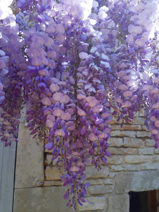 Wisteria Cottage Les Adjots Екстериор снимка